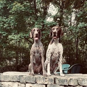 Meet your Posher, Jenn